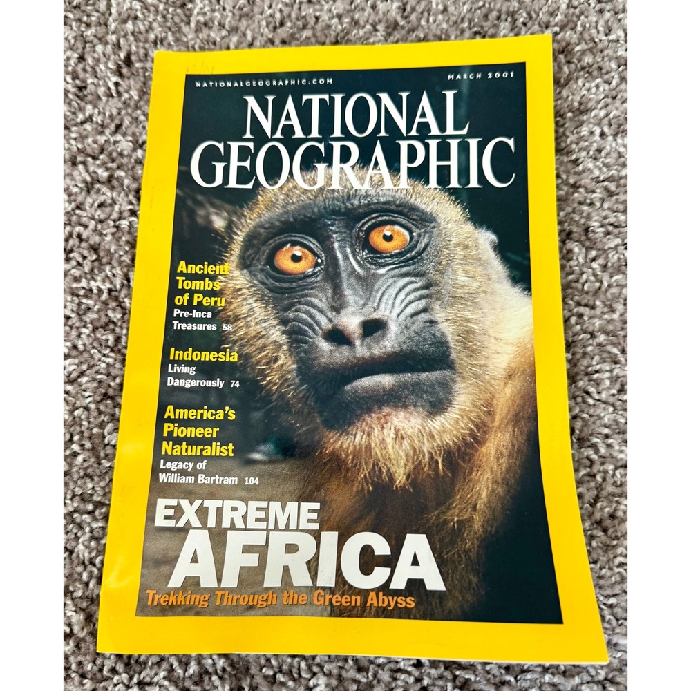 National Geographic Magazine March 2001 Extreme Africa Peru Tombs Yellow